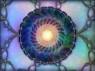 FRACTAL 43