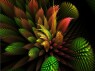 FRACTAL 51