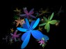 FRACTAL 61