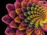 FRACTAL 63