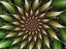 FRACTAL 75